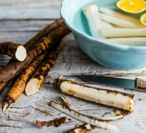 Black Salsify - Scorzonera hispanica